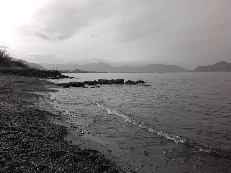 To the sea