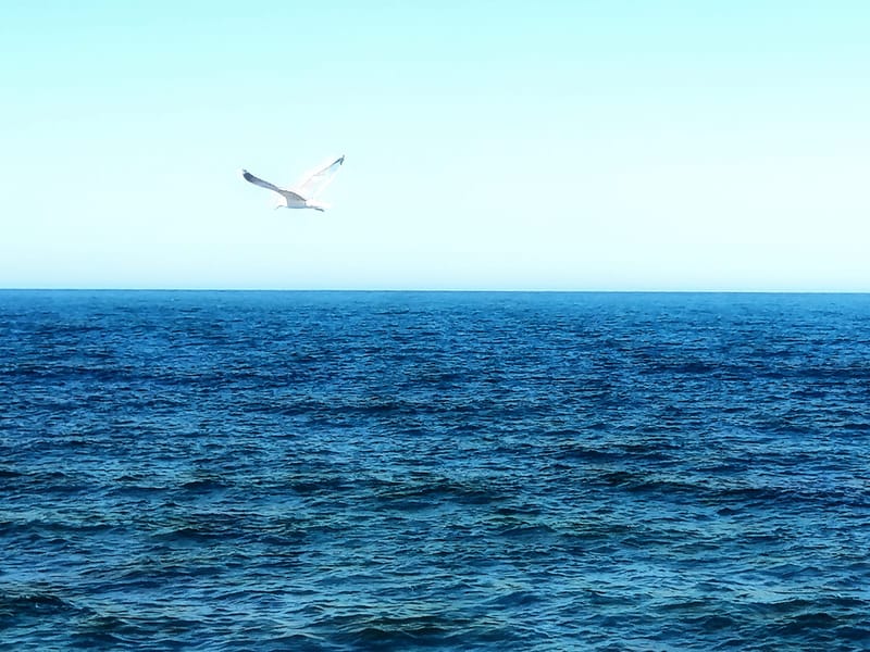 The flight along the line