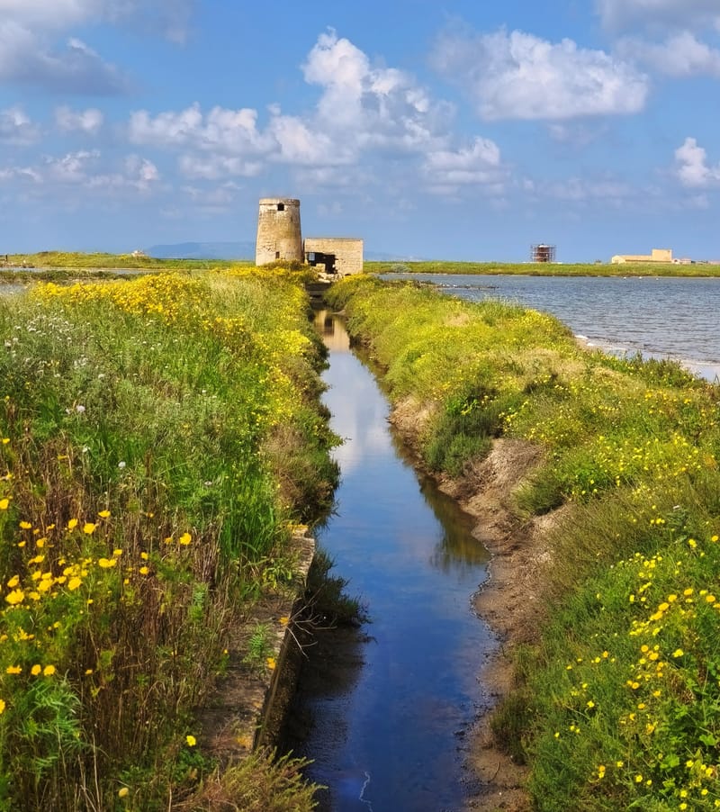 Saline di Trapani