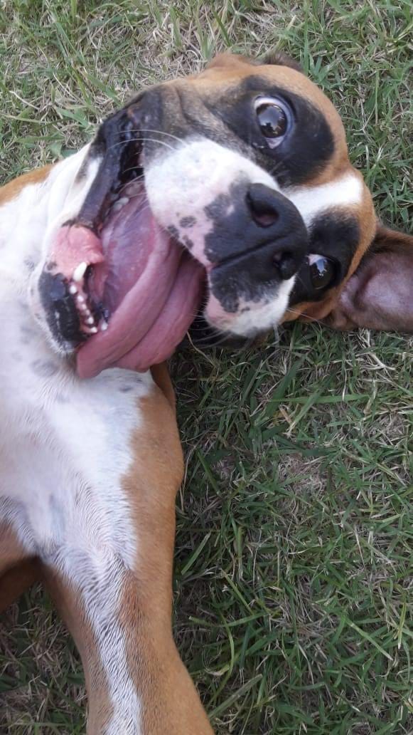 La felicidad misma