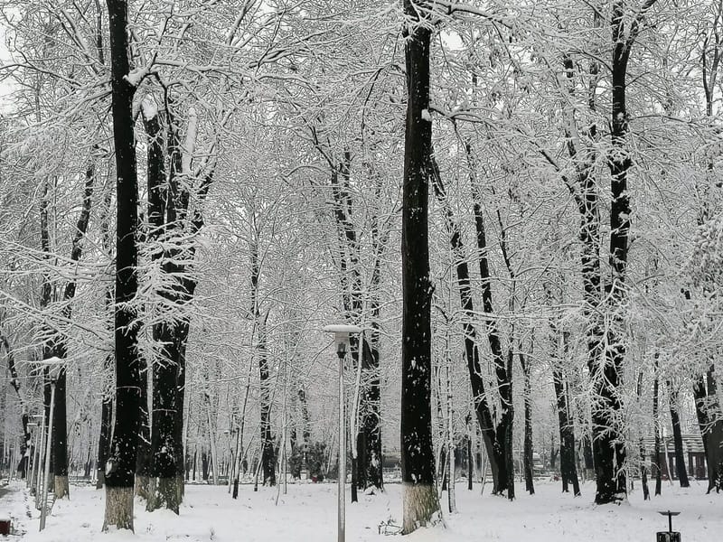 Romanian winter